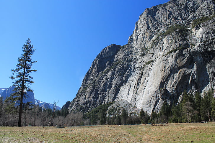 El capitan, Yosemite, boom, Park, Californië, nationale, landschap