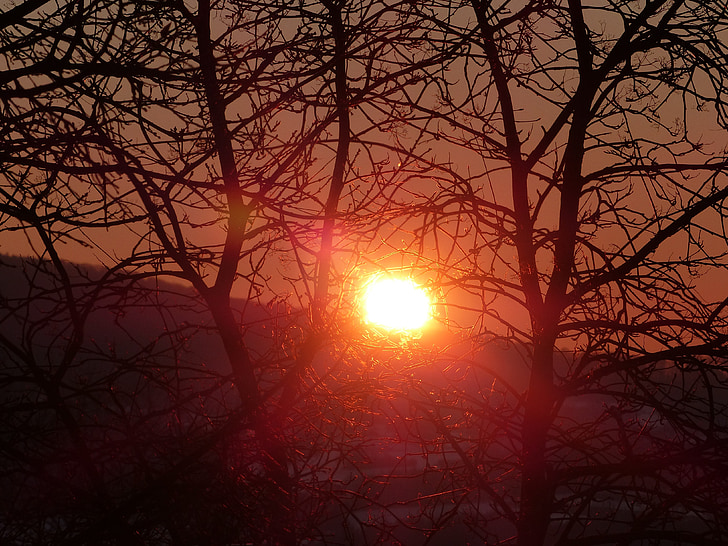 sunrise, mood, red, romantic, nature, back light, morgenstimmung