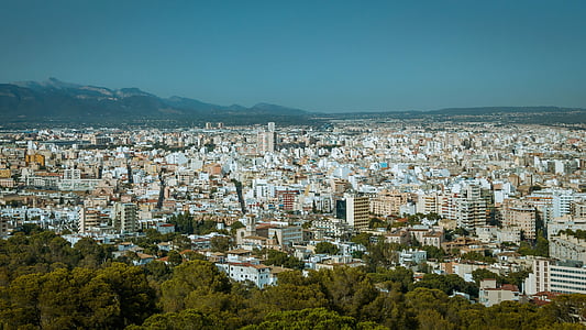Palma, Palma de Maiorca., Maiorca, férias, cidade, Catedral, Igreja