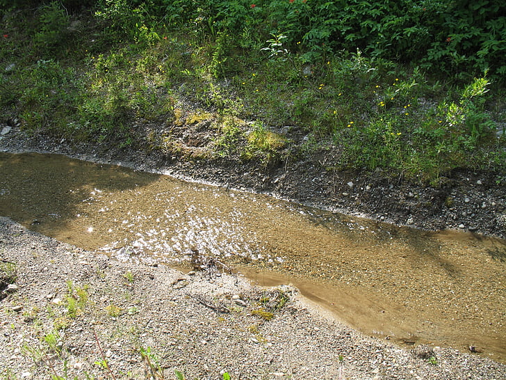 creek, nature, water