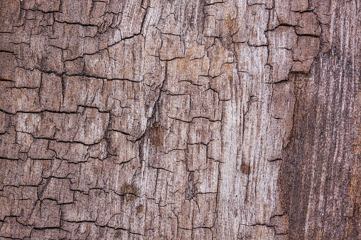 wood, structure, fund, driftwood, old, weathered, cracks