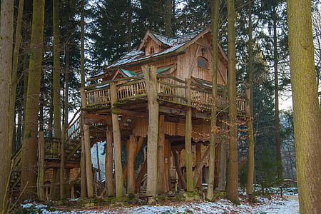 vacation, treehouse, tree hut, live, apartment, tripsdrill, holiday