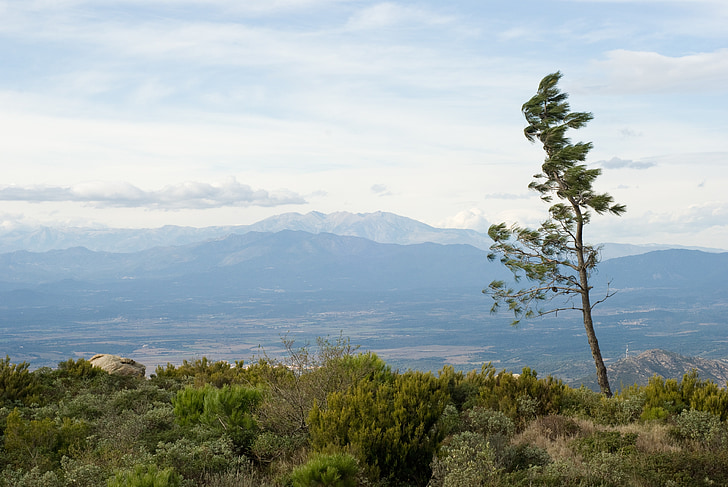 spain, tree, mountains, nature, spring, land, day
