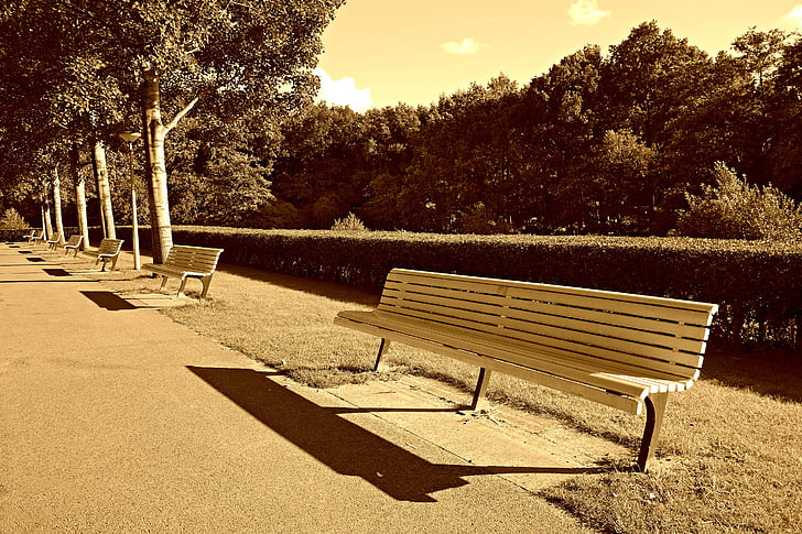 bench, seat, sitting, wooden bench, rest, relaxation, park bench