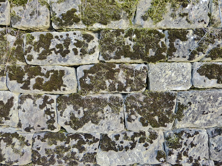vegg, stein, Moss, gamle, hage, forvitret, natur