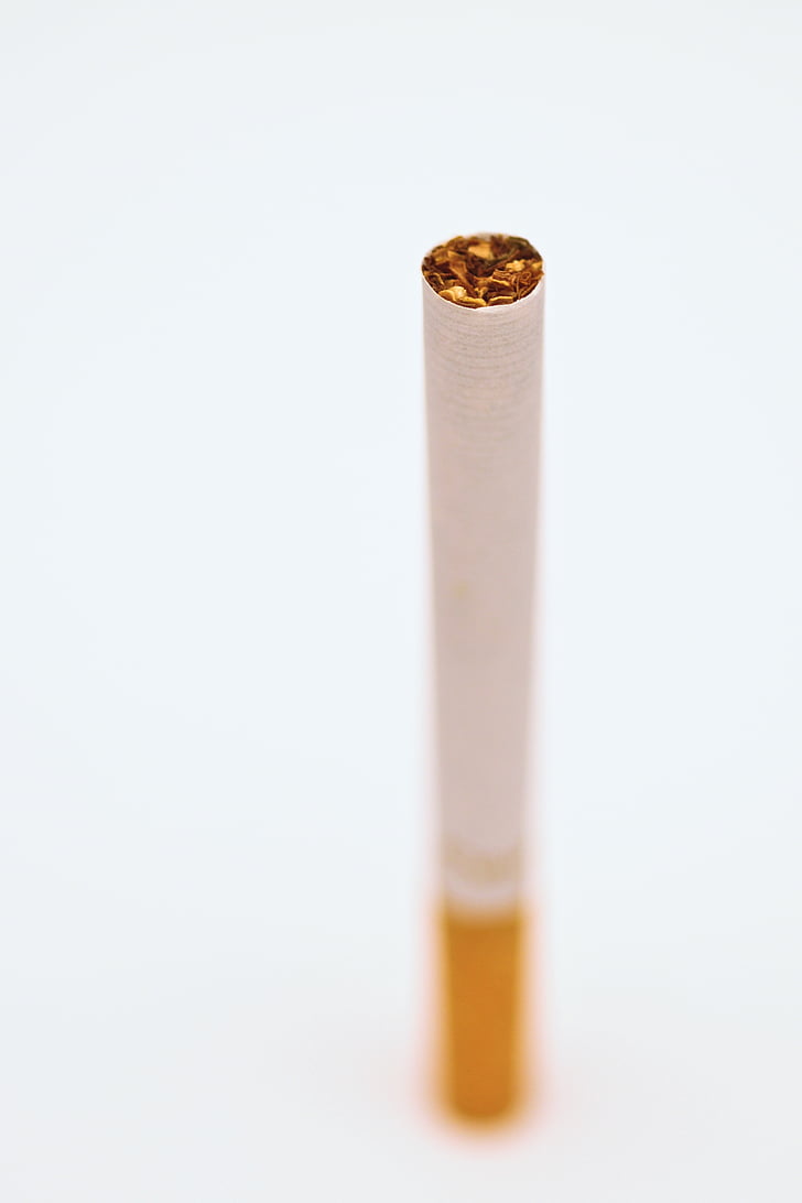 cigarette, tabac, fumée, fond blanc