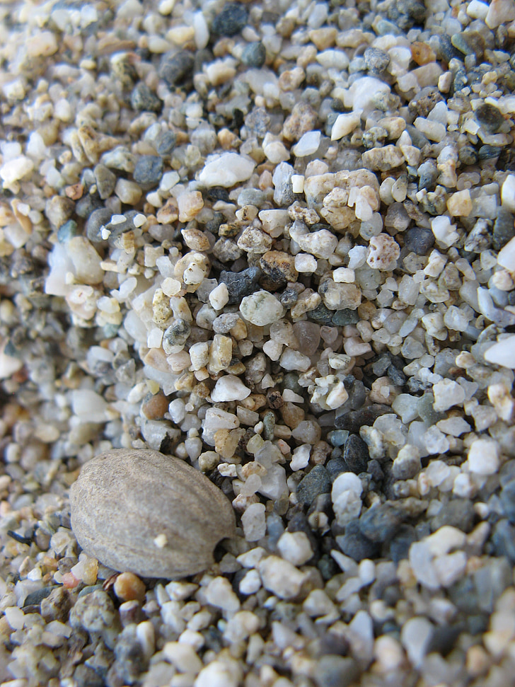 plage, sable, pierres, été, Pebble, nature, Rock - objet