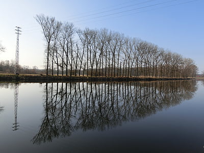 проспект, деревья, воды, Зеркальное отображение, пейзаж, Отдых, отражение