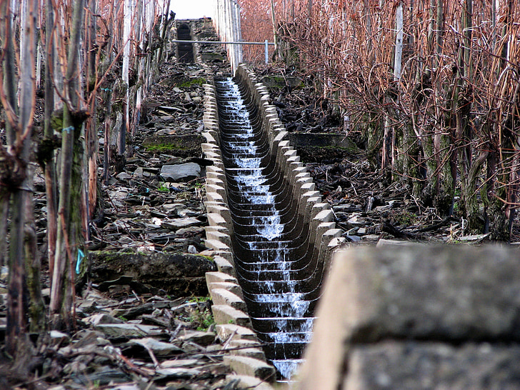vineyard, winter, water, stairs, irrigation