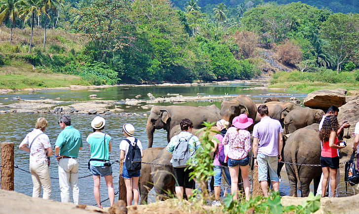 Turisté, turistická atrakce, sloni, koupel, sluneční lázeň, říční lázně, řeka