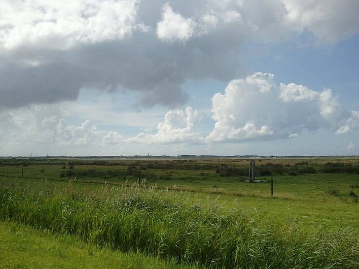 sky, meadow, nature, landscape, clouds, cloud, rural Scene