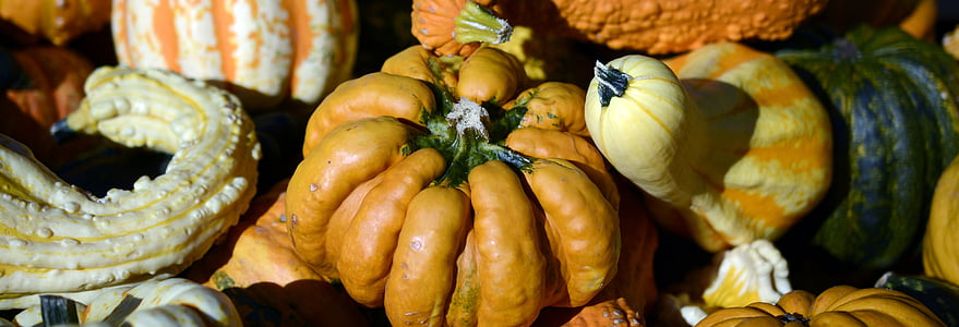 græskar, centnergraeskar, efterår, Thanksgiving, dekoration, høst, Halloween