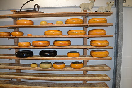 formatge, prestatge, madurar, estoc, aliments, emmagatzematge