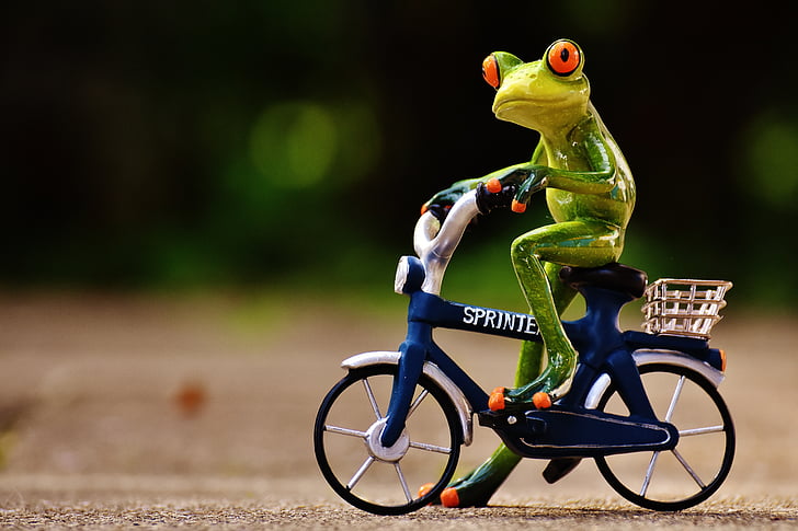 개구리, 자전거, 재미, 귀여운, 달콤한, 그림, 드라이브
