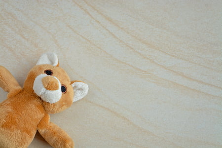 泰迪, 玩具熊, 小熊, 毛绒玩具的熊, 毛茸茸的玩具熊, 小, 甜