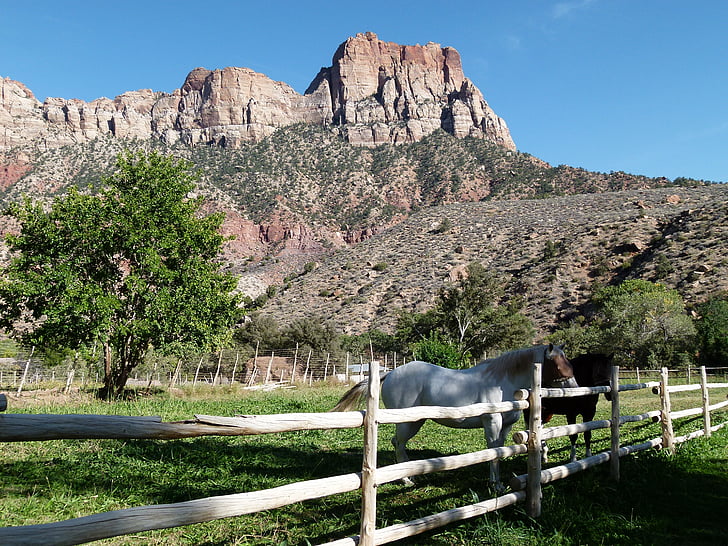 Parc national de Zion, Utah, é.-u., attraction touristique, montagnes, roches, paysage