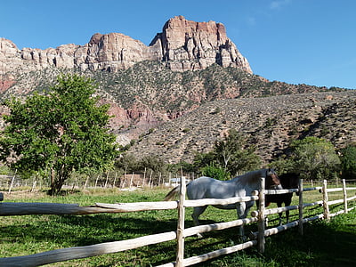 Zion nacionālais parks, Utah, ASV, tūristu piesaistei, kalni, akmeņi, ainava