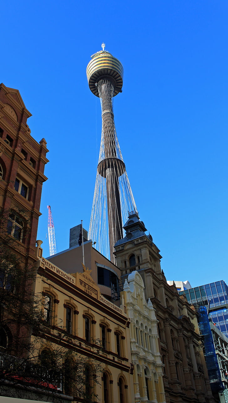 Sydney tower, widok na miasto, od dołu, Wieża telewizyjna