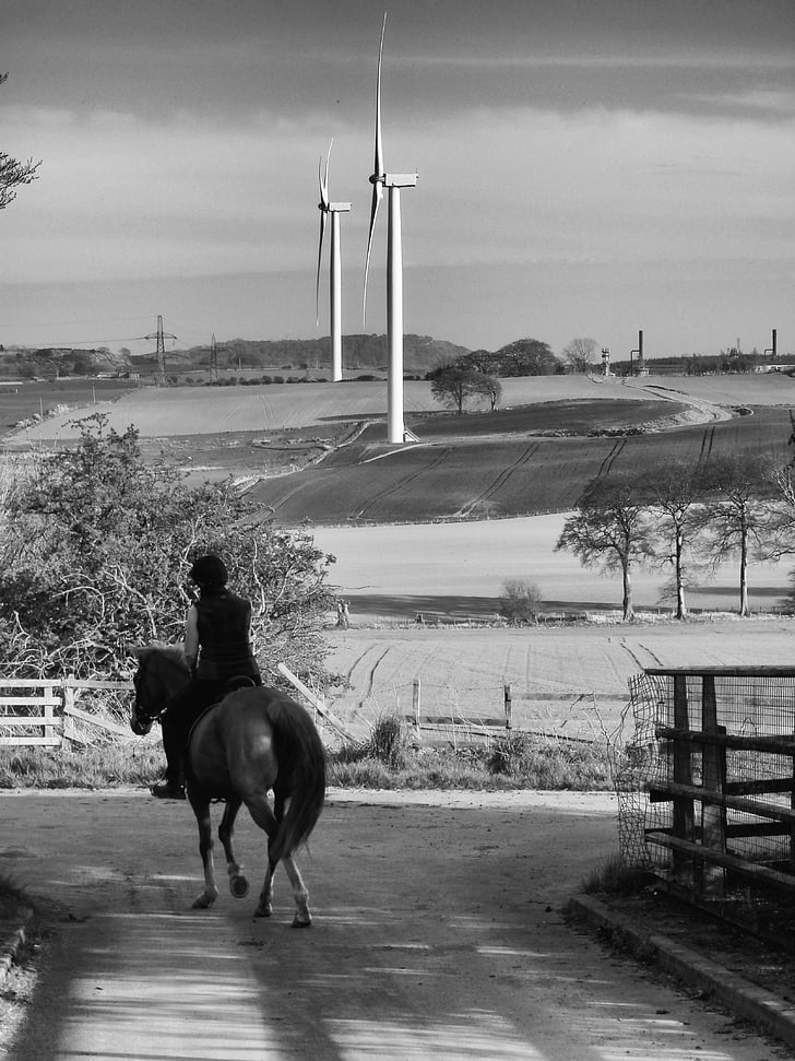 turbine de vent, cheval, paysage, noir blanc