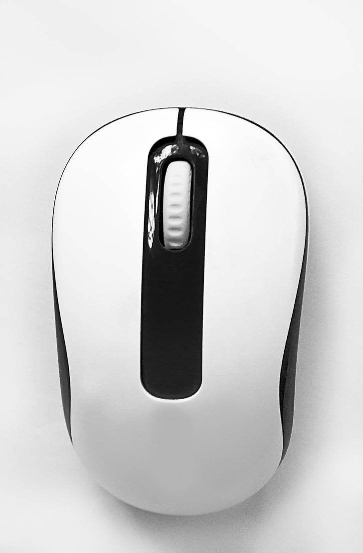 mouse, wireless, technology, electronics, pc, computer, device