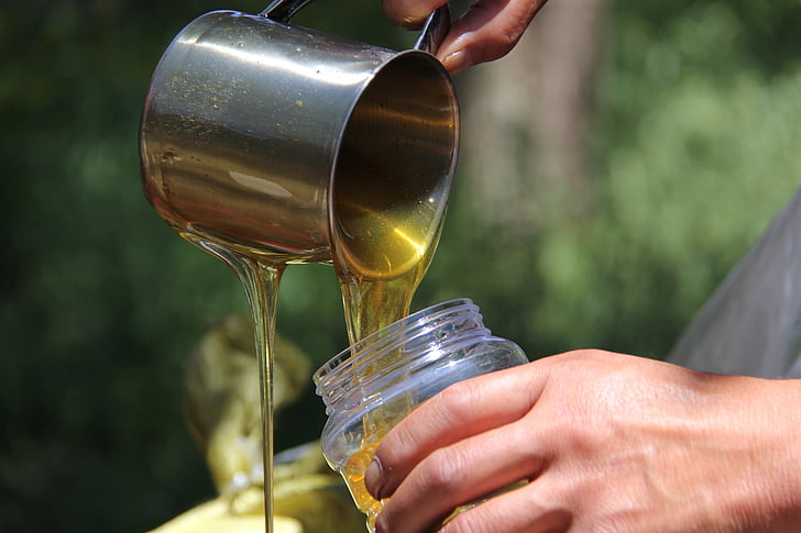 honey, cup, beekeepers, human hand, human body part, pouring, one person
