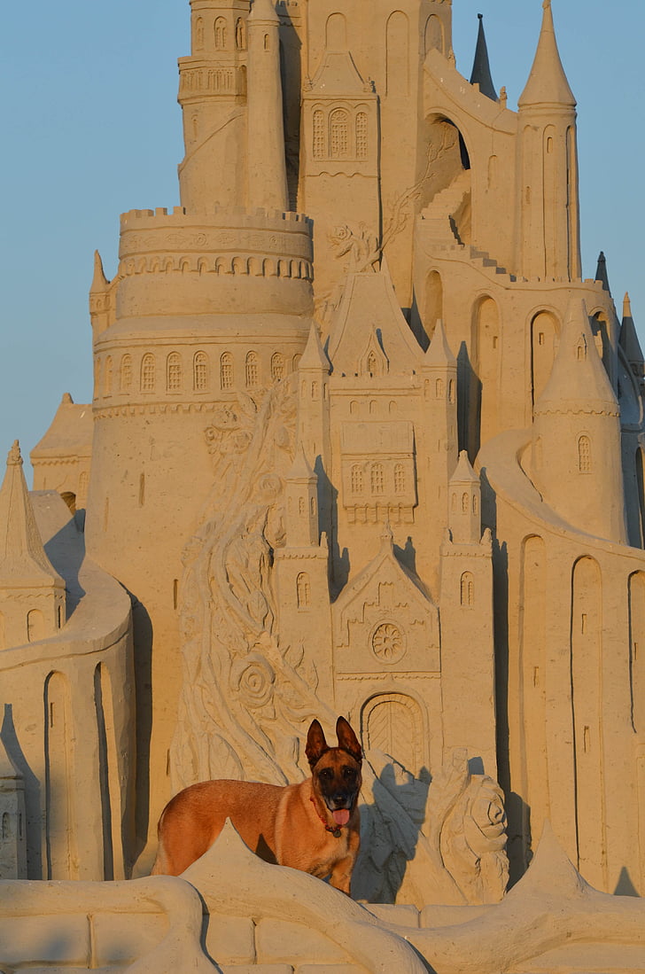 sand sculpture, structures of sand, tales from sand, fairytales sand sculpture, castle, sand castle, malinois