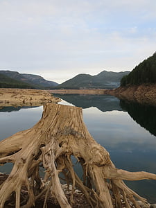 オレゴン州, 湖, デトロイト湖, 水, 干ばつ, 自然, 自然