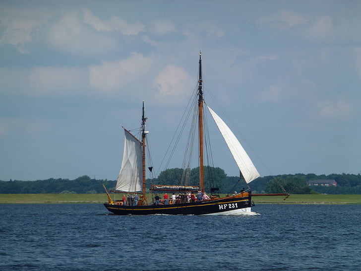 sailing vessel, maritime, elbe, ship, sail, boot, water