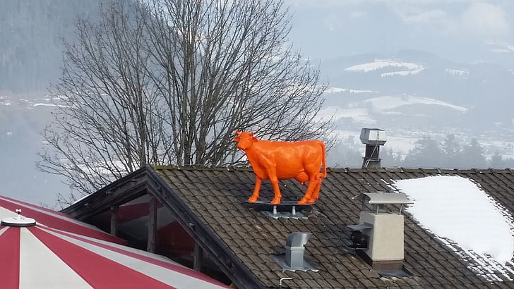 Kuh, Dach, Kitzbühel, Winter, Schnee, Tier, rot