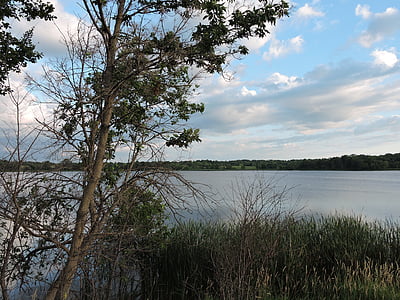 natureza, Lago, Minnesota, paisagem, água, Verão, céu