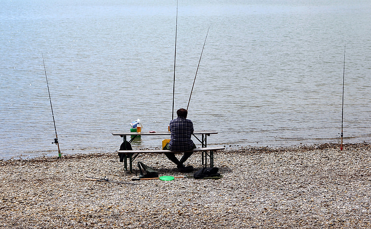 pêcheur à la ligne, poisson, pêche, attraper des poissons, homme, Lac, eau