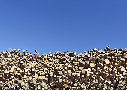 six, spruce forest, softwood, conifer, wood, stack, heap