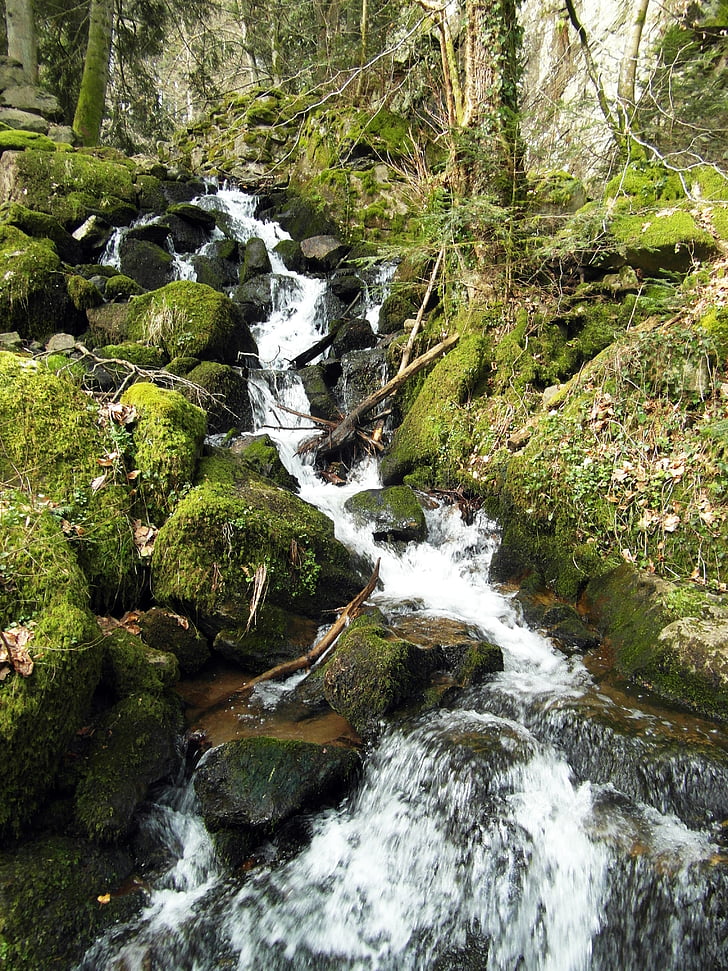 vattenfall, wieladingen, Murg dalen, Schwarzwald, kicken rhine, naturen, skogen
