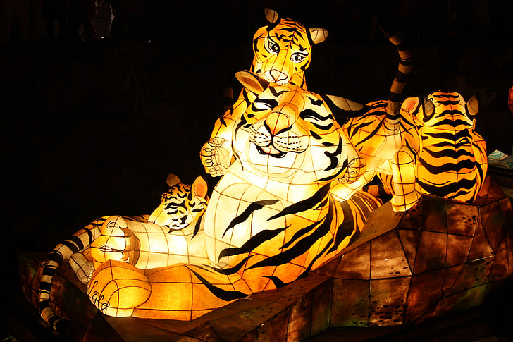 Tigre, festival des lanternes, Cheonggyecheon stream, kkotdeung festival, article isométrique