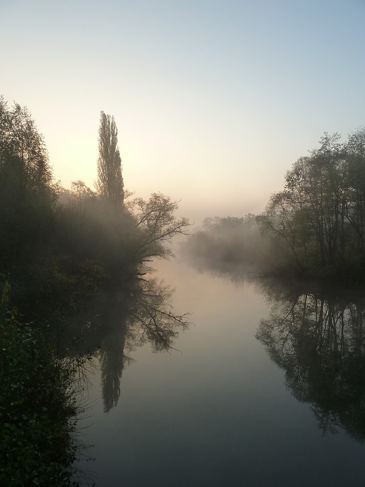 река, природата, сутрин, пейзаж, води