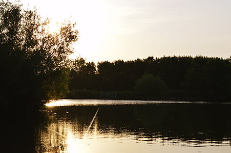Lago, acqua, tramonto, sole basso, d'oro, paesaggio, Wilderness