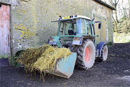 traktor med halm, gårdsuppfödda halm, traktor i gården, arbetande traktor, lastad traktor, grön traktor, leriga traktor