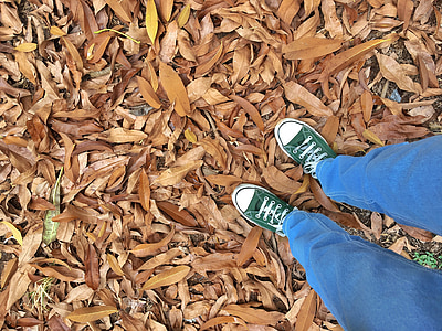 feuilles tombées, feuilles d’automne, feuilles séchées, chaussures en toile, Converse, Converse all star, vert