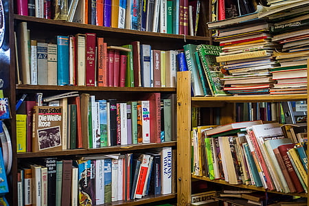 livre, livres, livres anciens, marché du livre, antiquaire, Parcourir, lire