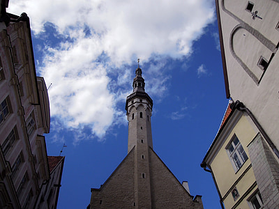 Tallinn, Estonia, paesaggio, vecchio, città, architettura, località turistica