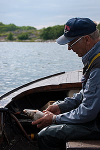 pescuit, net, Åland, peşte, apa, prinde, mare