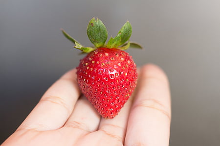 person, holding, red, strawberry, food, hand, hands