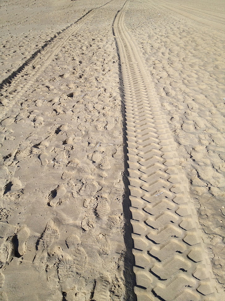 pesek, sledi, puščava, ponatis, sledi, narave, na prostem
