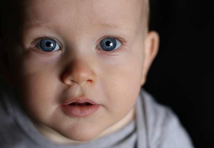 bebê, Infante, azul, olhos, menino, cara, criança