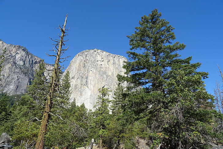 Yosemite, Parque Nacional, El capitan, incenso de cedro, formação rochosa, monolito, granito
