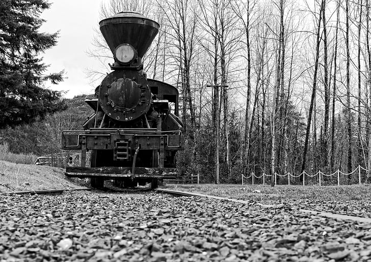 tren, pistas, punto de vista, vía férrea, tren de vapor, pasado de moda, antiguo