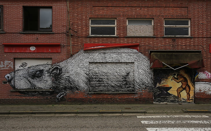 geisterstadt doel i Belgia, rotte, Graffiti, arkitektur, murstein