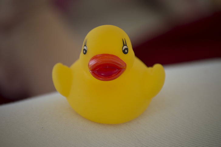 Duck, svømme, våd, legetøj, Rubber duck, bad tilbehør, gul