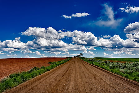 wolken, platteland, onverharde weg, boerderij, landbouwgrond, velden, gras