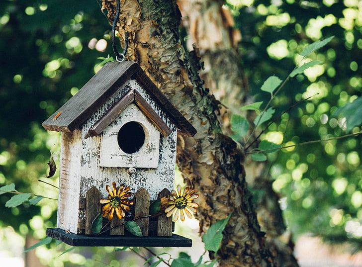 birdhouse, podružnica, vrt, listi, makro, drevo, živali gnezdo